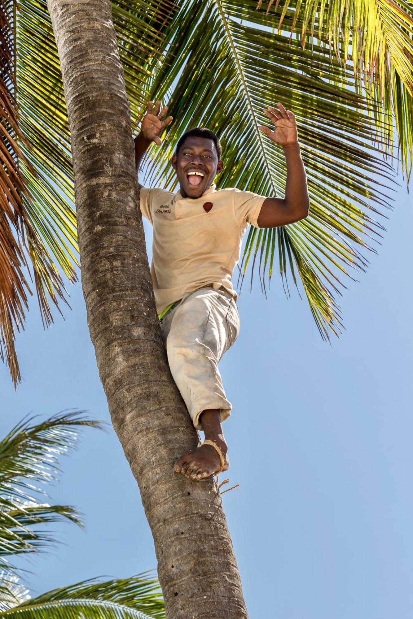Mahali Zanzibar Hotel ปาเยอ ภายนอก รูปภาพ